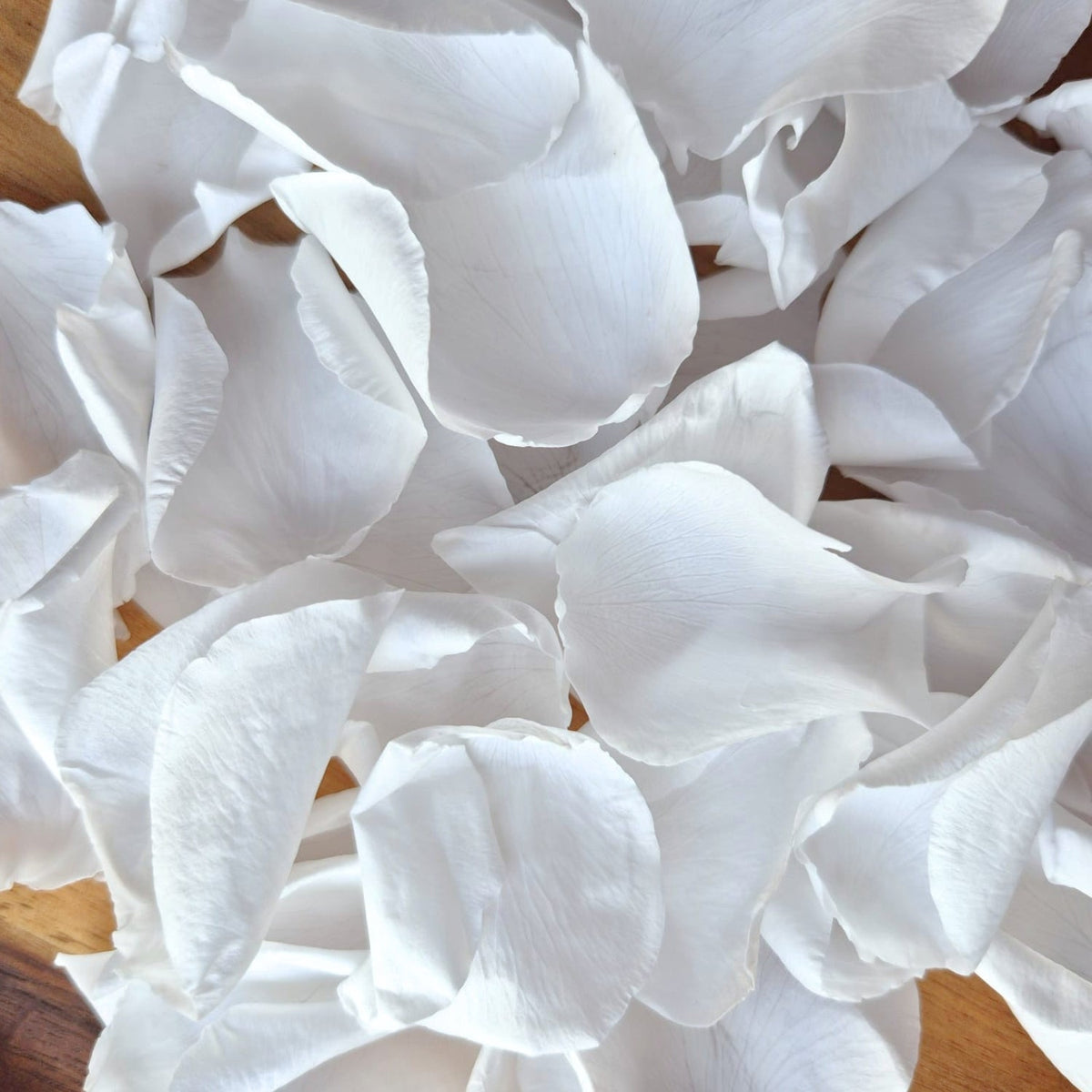 Are Preserved Petals Real Flowers?