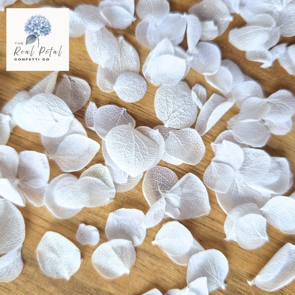What Is Biodegradable Confetti?