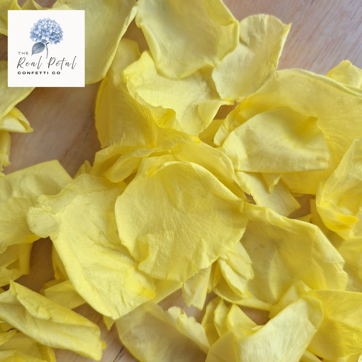 Rose Petals - Yellow