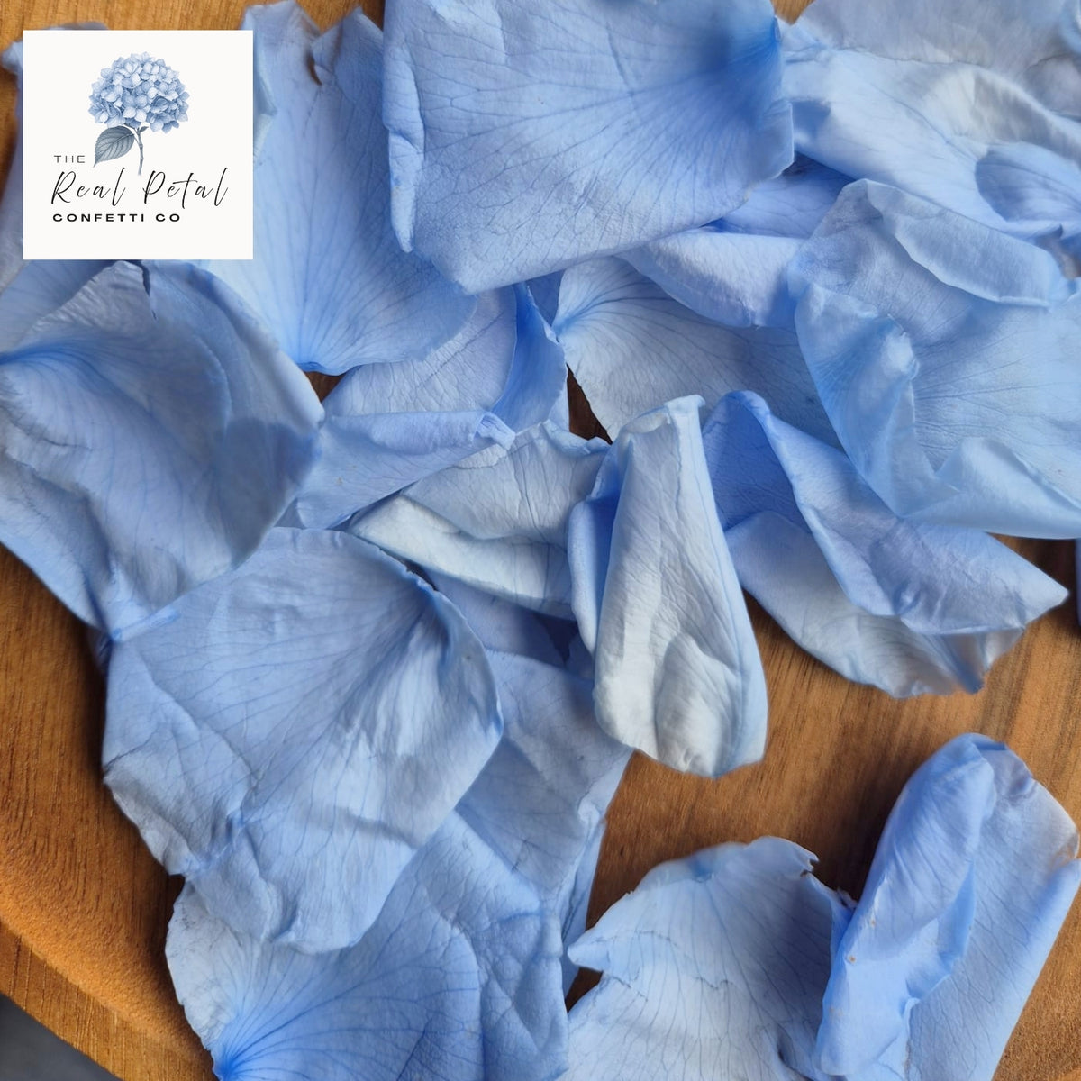 Rose Petals - Light Blue