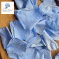 Rose Petals - Light Blue