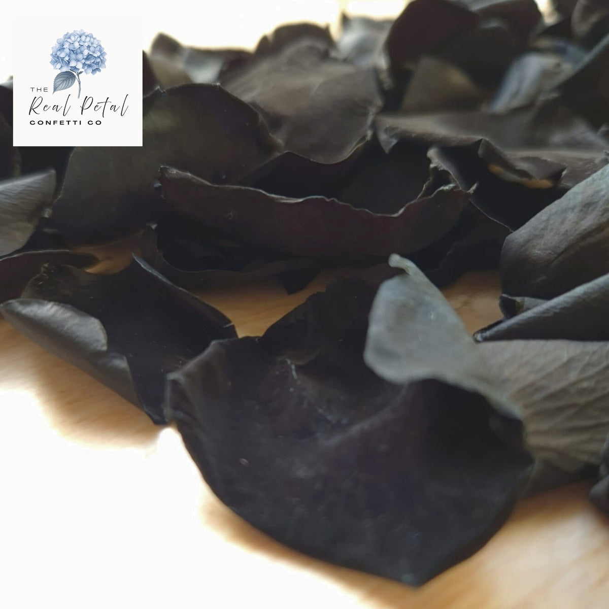Rose Petals - Black