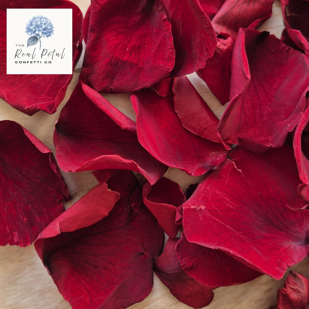 Rose Petals - Dark Red
