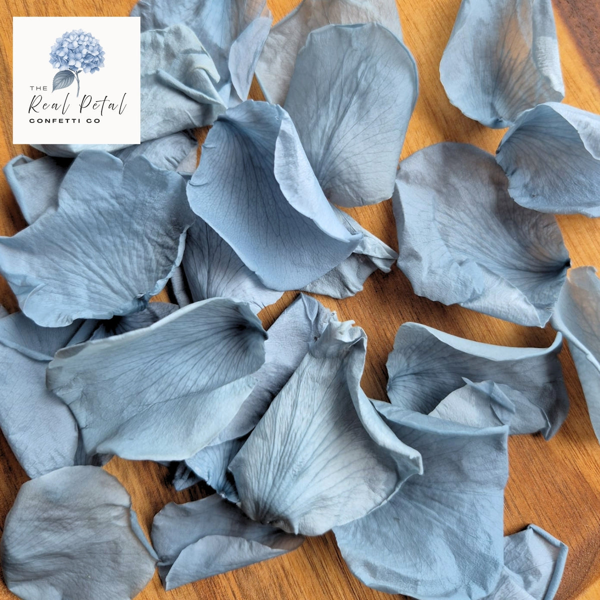 Rose Petals - Dusty Blue Hue
