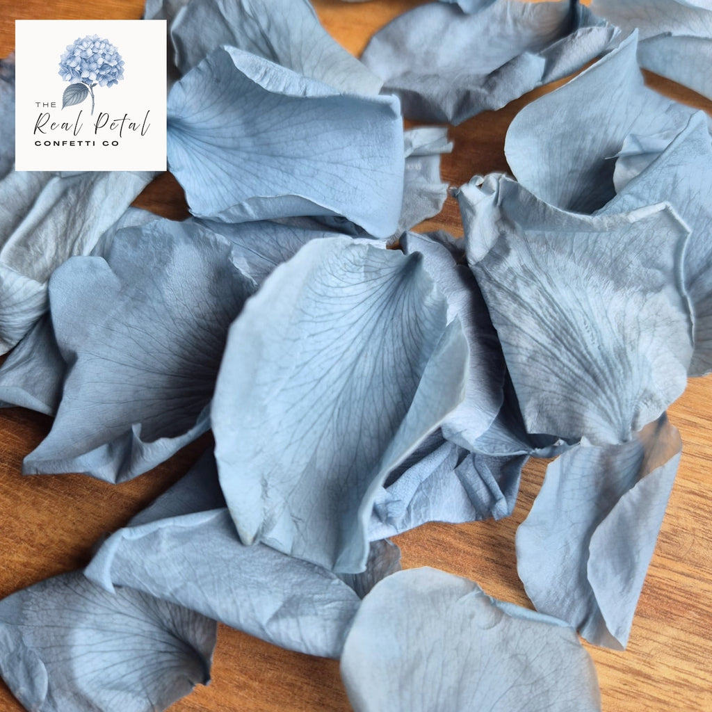 Rose Petals - Dusty Blue Hue