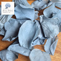 Rose Petals - Dusty Blue Hue