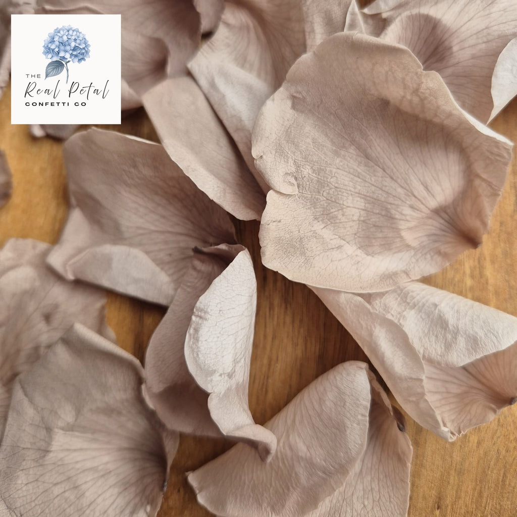 Rose Petals - Urban Brown