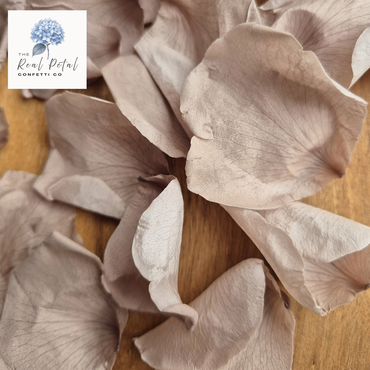 Rose Petals - Urban Brown