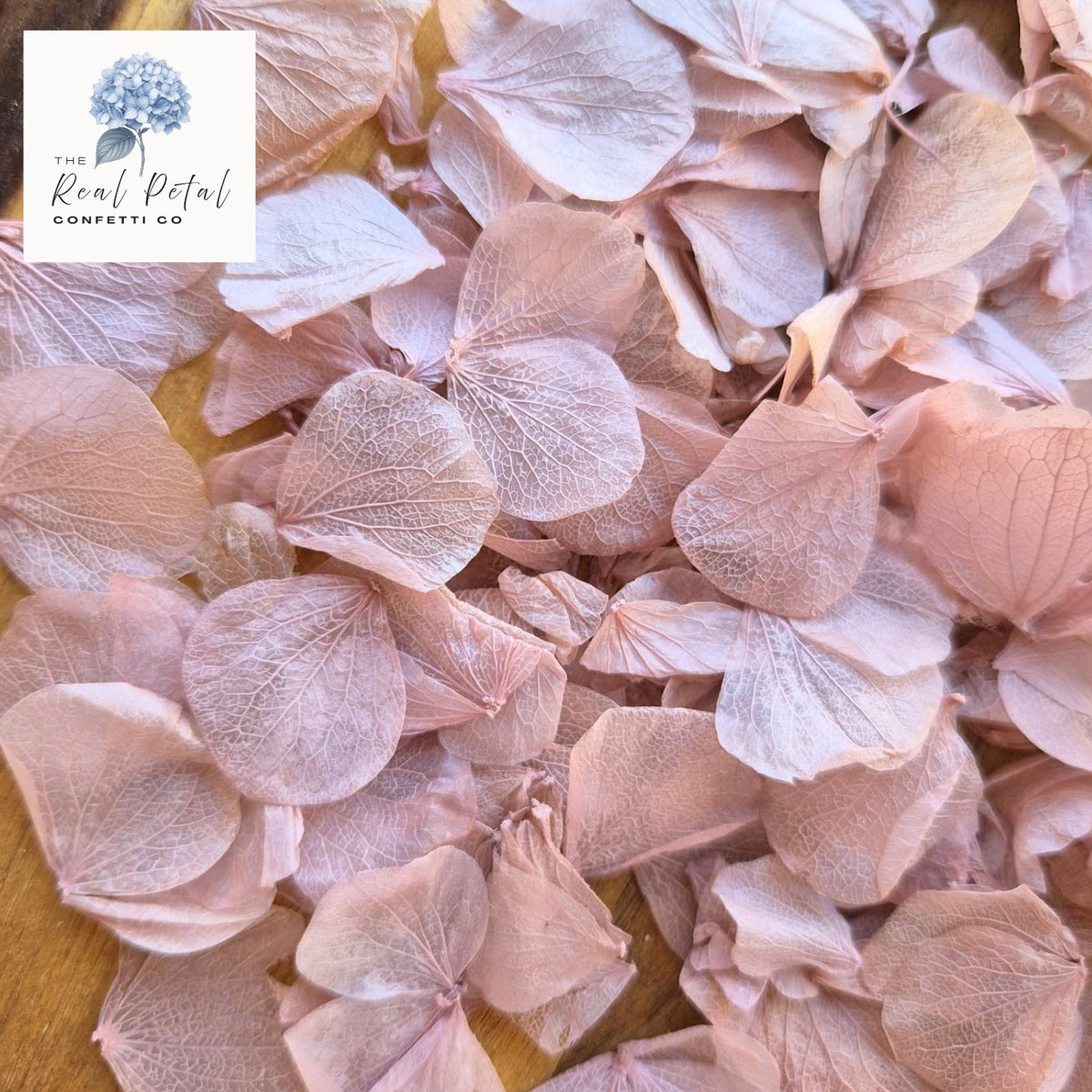 Hydrangea Petals - Dusty Pink