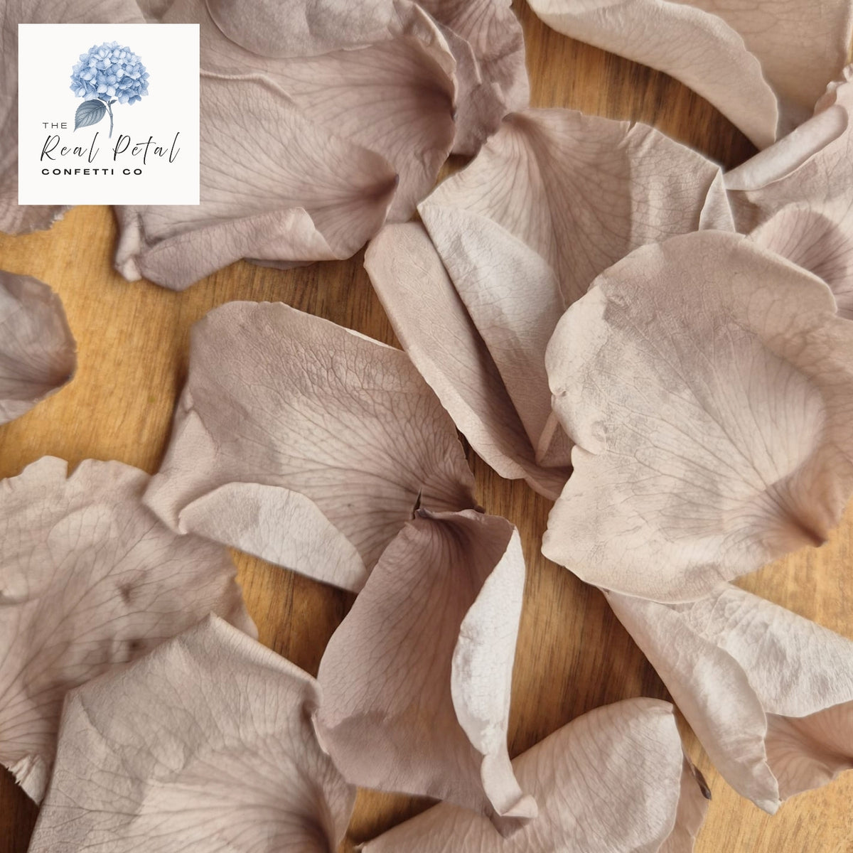 Rose Petals - Urban Brown