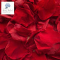 Rose Petals - Red