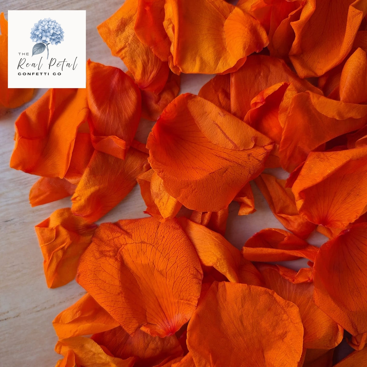 Rose Petals - Dark Orange