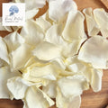 Rose Petals - Light Lemon ivory