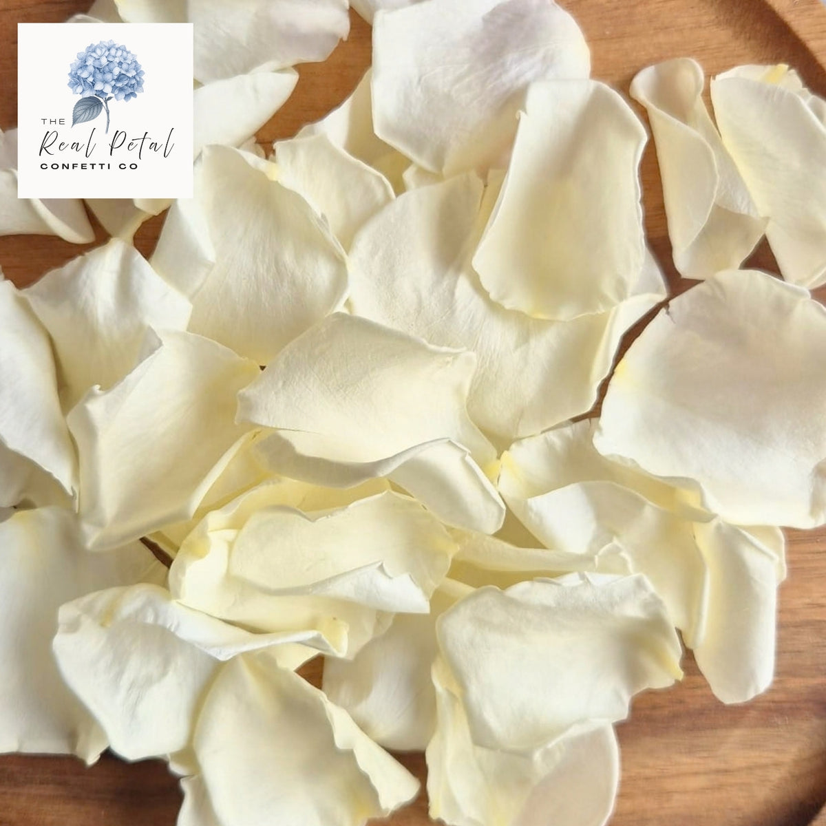 Rose Petals - Light Lemon ivory