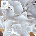 Rose Petals - Snow White