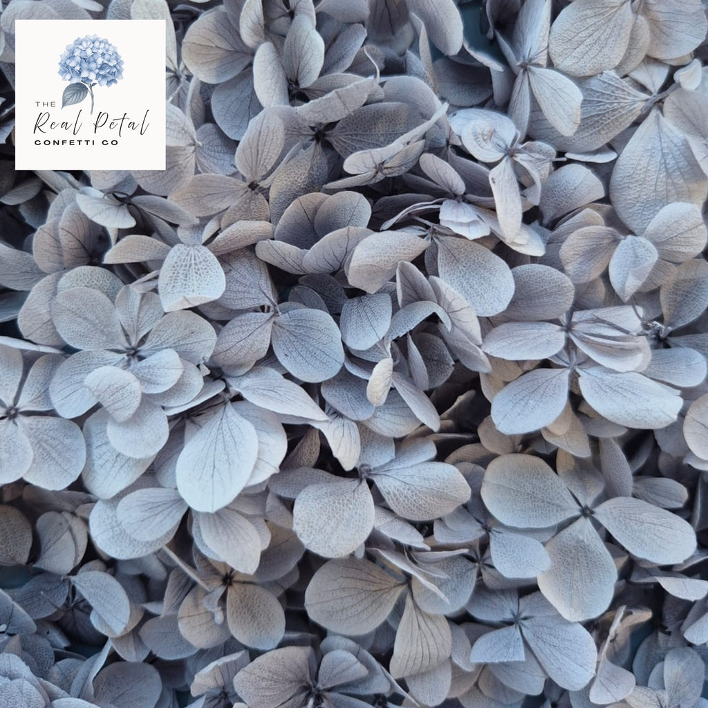FlutterFly® Hydrangea Petals - Medium Dusty Blue