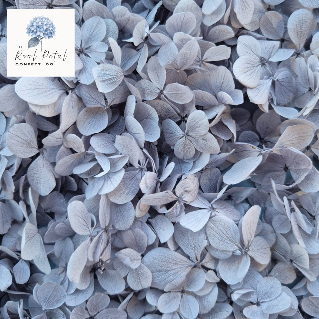 FlutterFly® Hydrangea Petals - Medium Dusty Blue