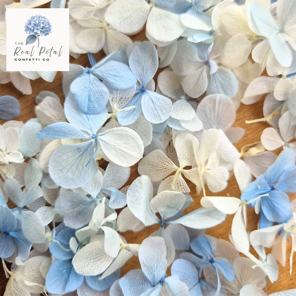 FlutterFly® Hydrangea Petals - Light Blue Gradient