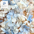 FlutterFly® Hydrangea Petals - Light Blue Gradient