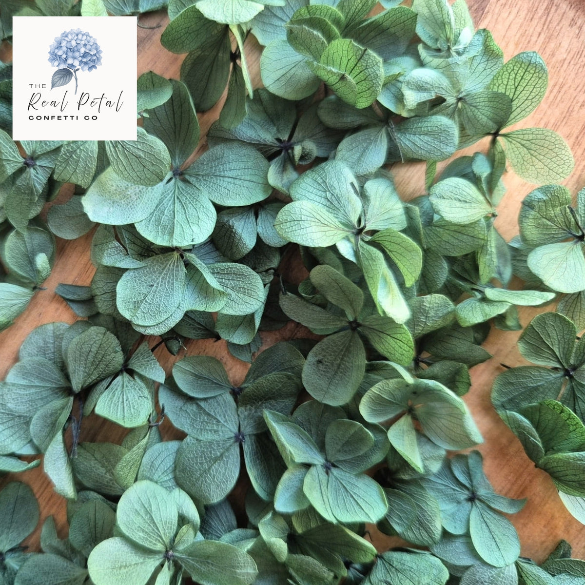 FlutterFly® Hydrangea Petals - Dark Green