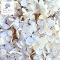 FlutterFly® Hydrangea Petals - Bright White
