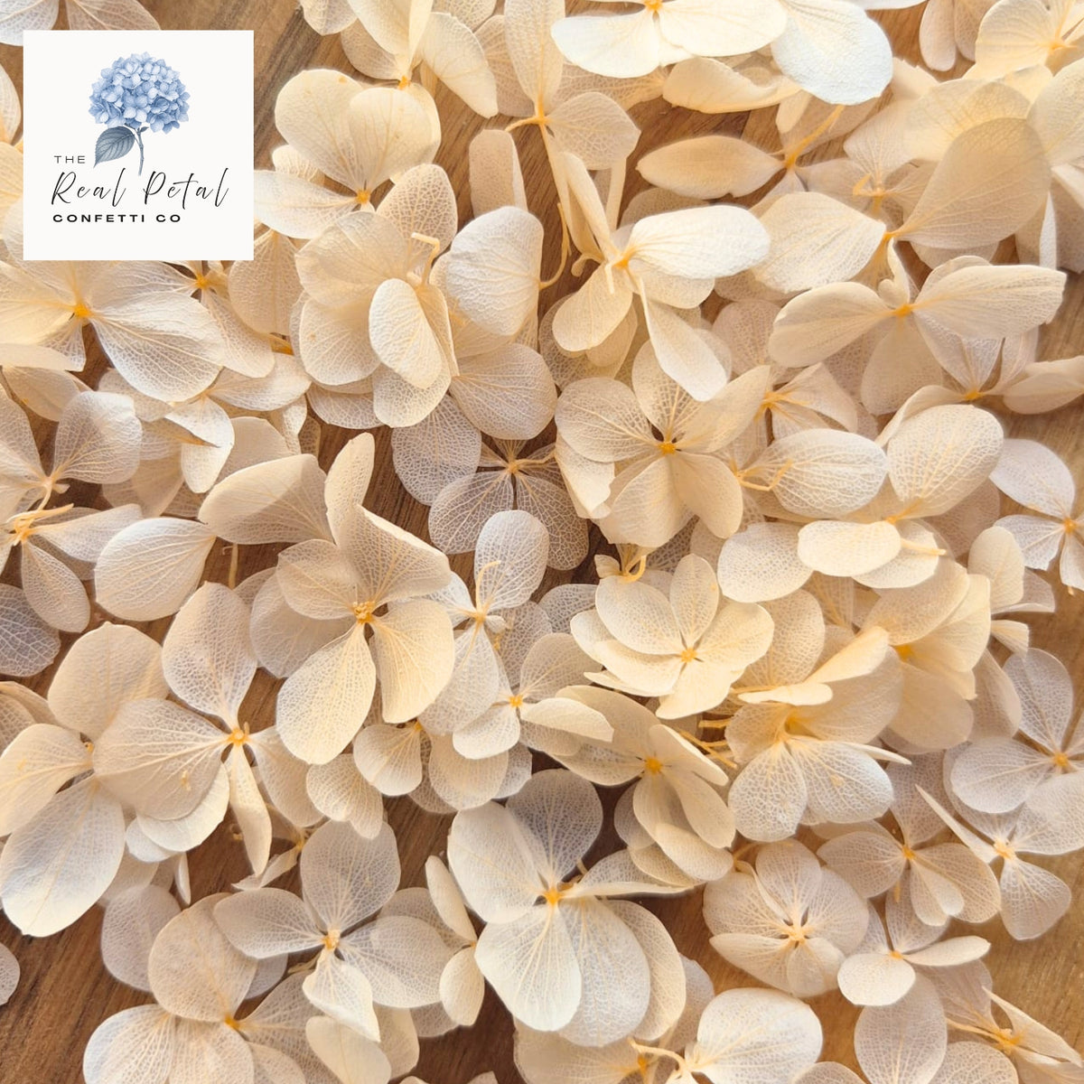 FlutterFly® Hydrangea Petals - Light Peach