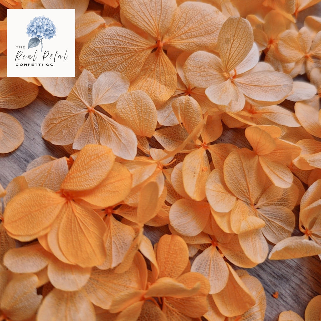 FlutterFly® Hydrangea Petals - Orange