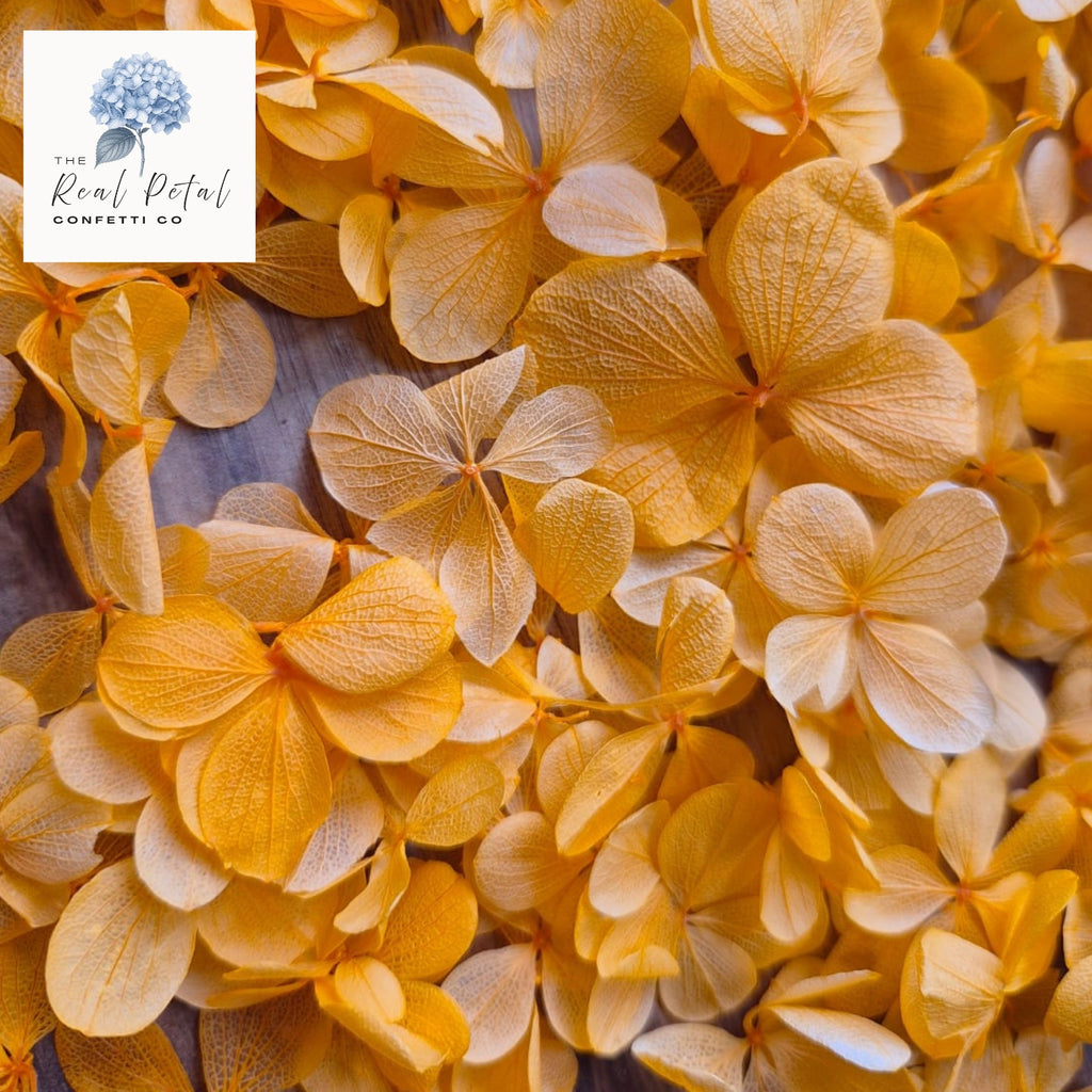 FlutterFly® Hydrangea Petals - Orange