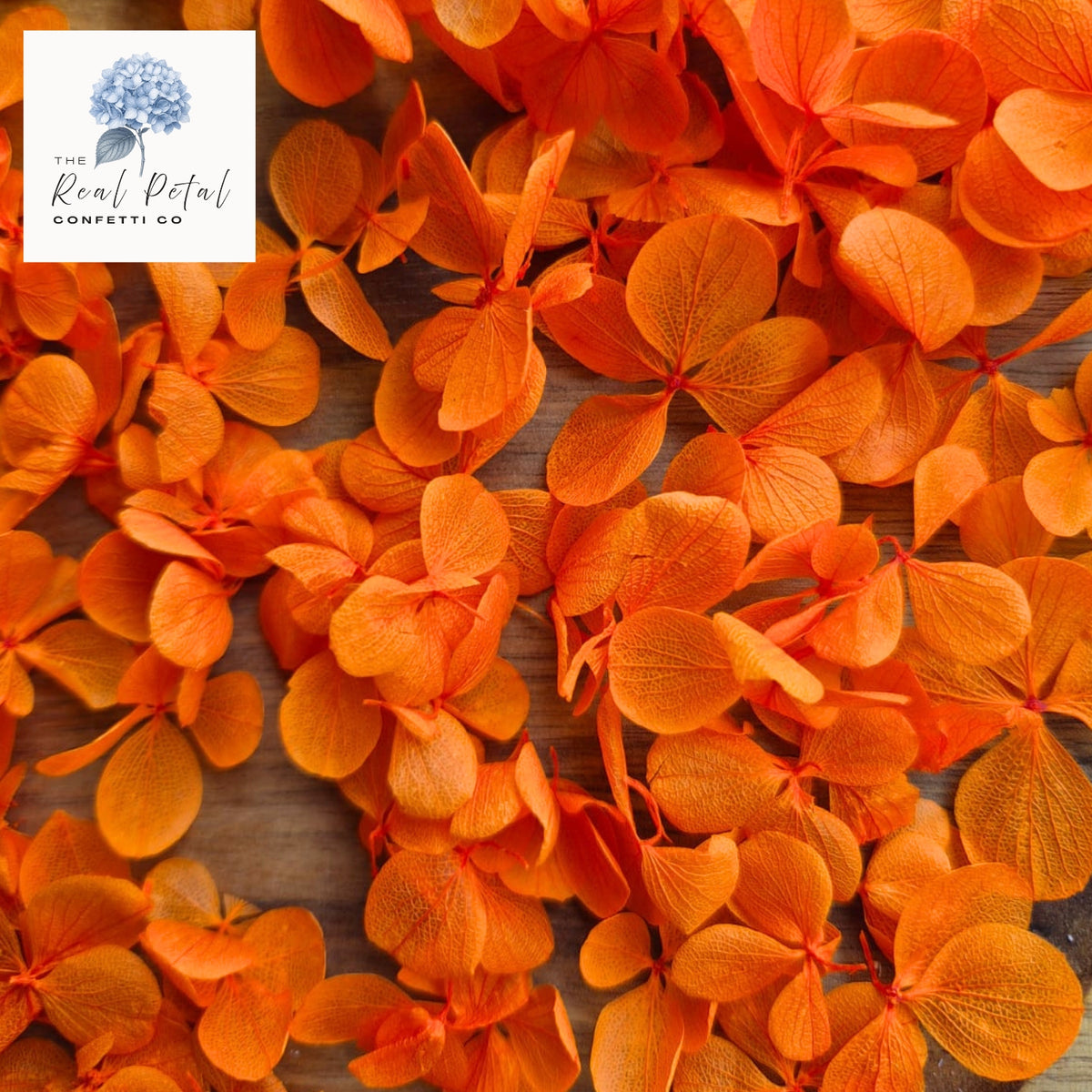 FlutterFly® Hydrangea Petals - Dark Orange