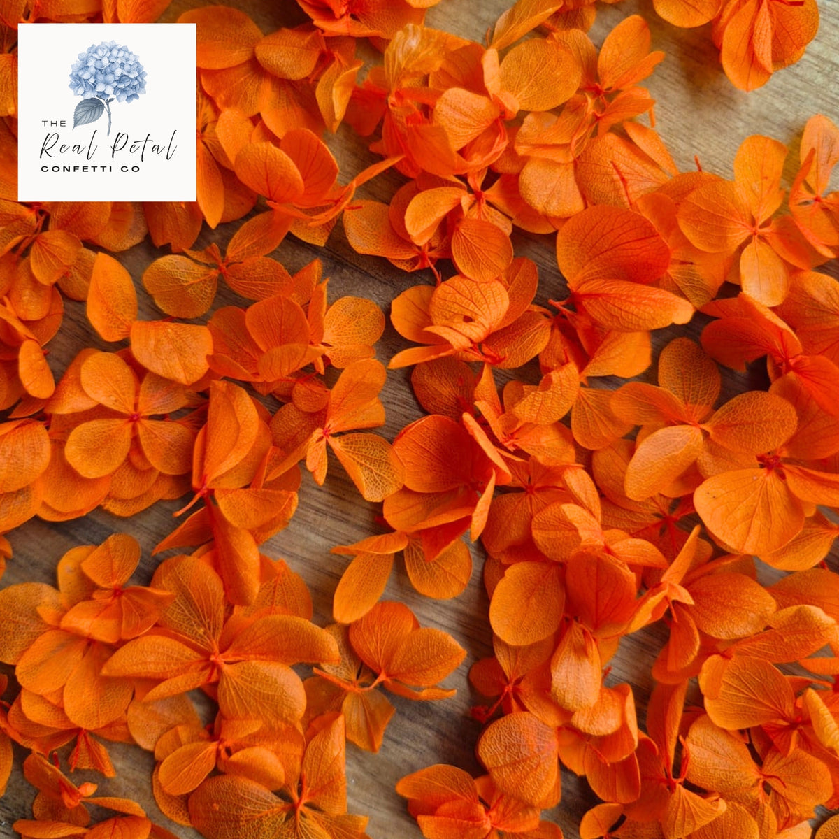 FlutterFly® Hydrangea Petals - Dark Orange