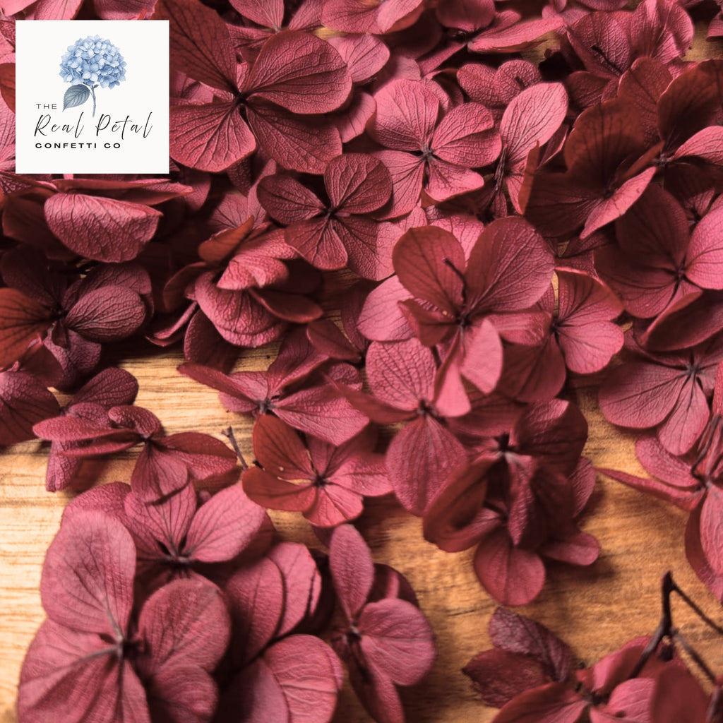 FlutterFly® Hydrangea Petals - Burgundy Wine