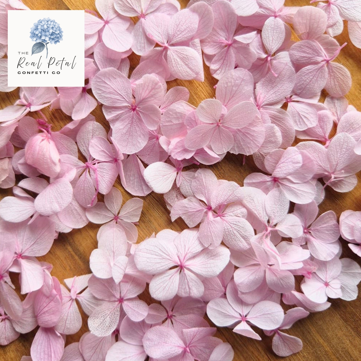 FlutterFly® Hydrangea Petals - Blush Pink