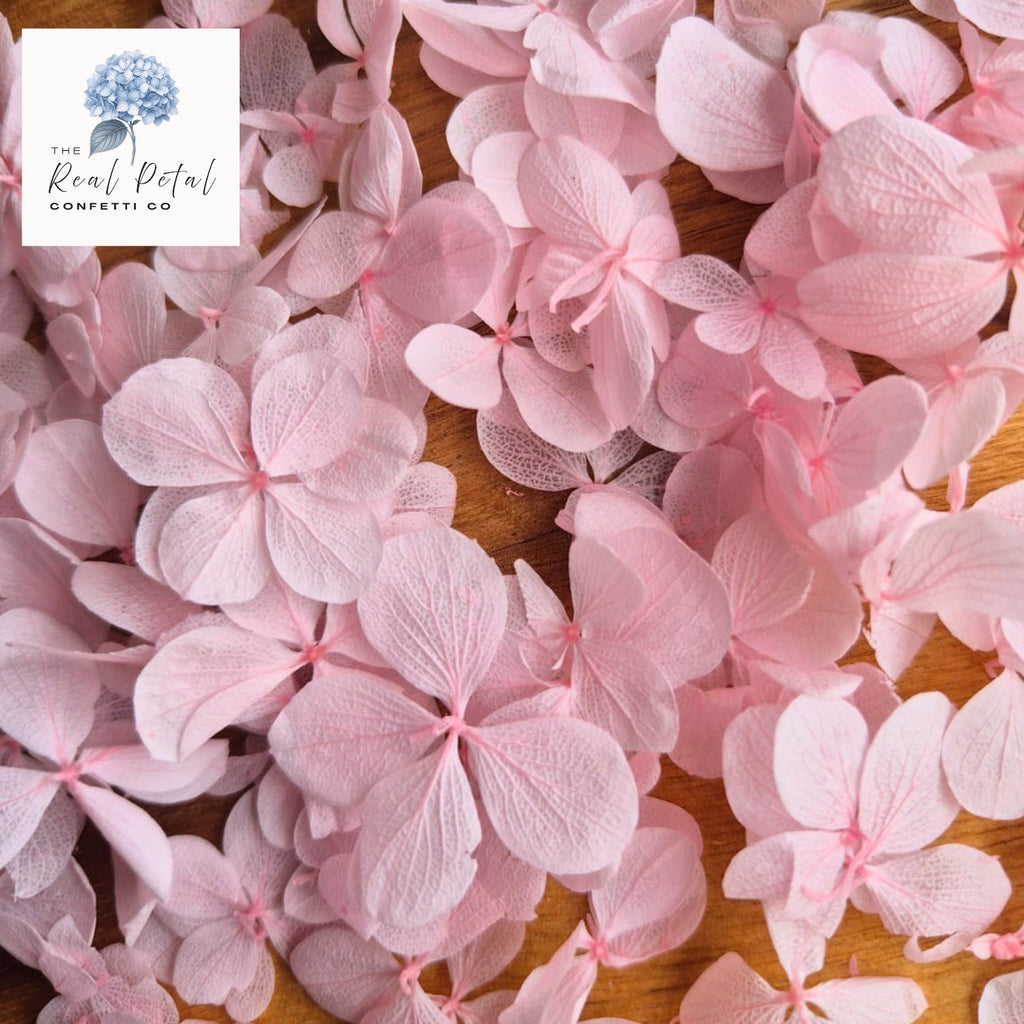 FlutterFly® Hydrangea Petals - Blush Pink