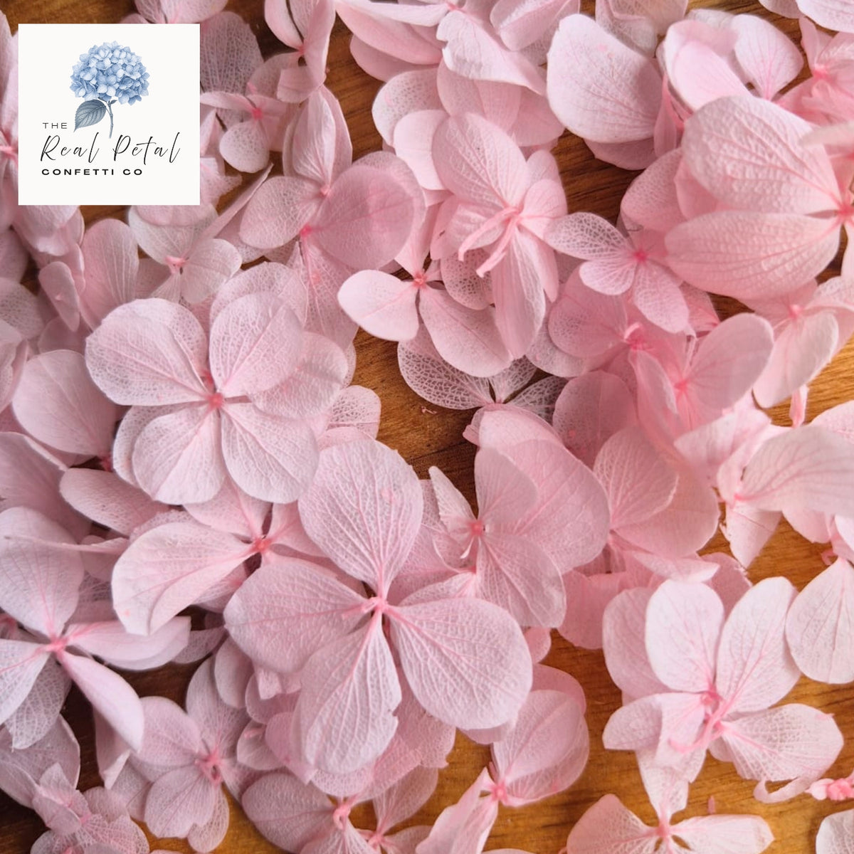 FlutterFly® Hydrangea Petals - Blush Pink