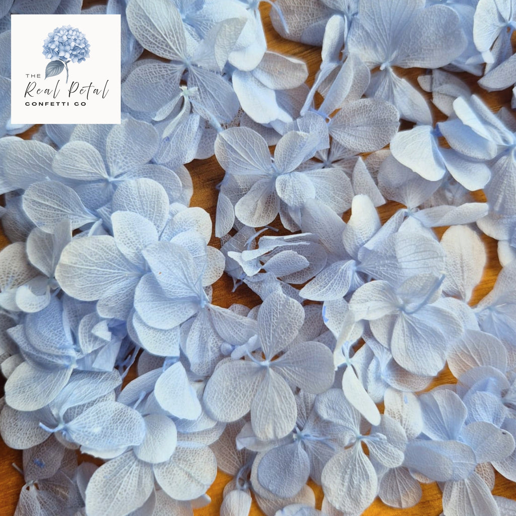 FlutterFly® Hydrangea Petals - Light Blue