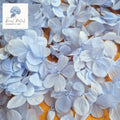 FlutterFly® Hydrangea Petals - Light Blue