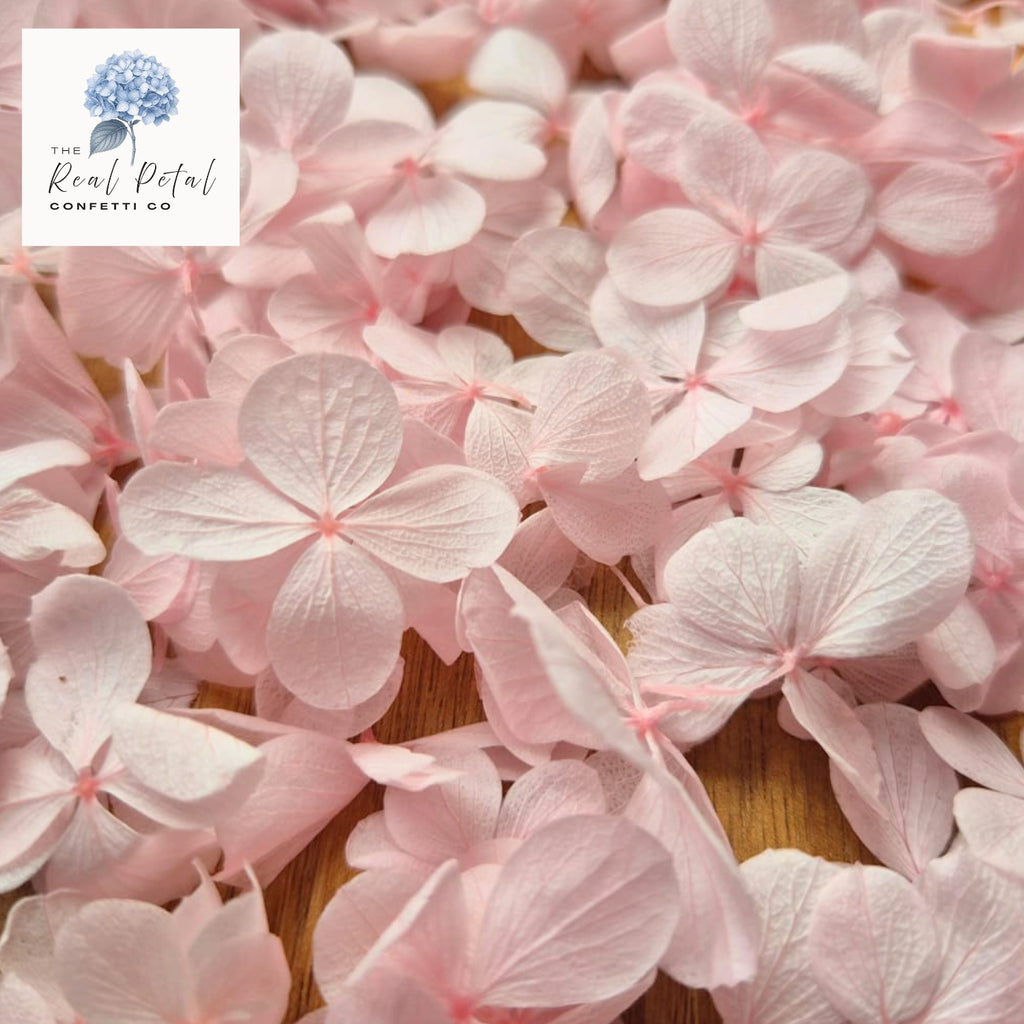 FlutterFly® Hydrangea Petals - Light Pink