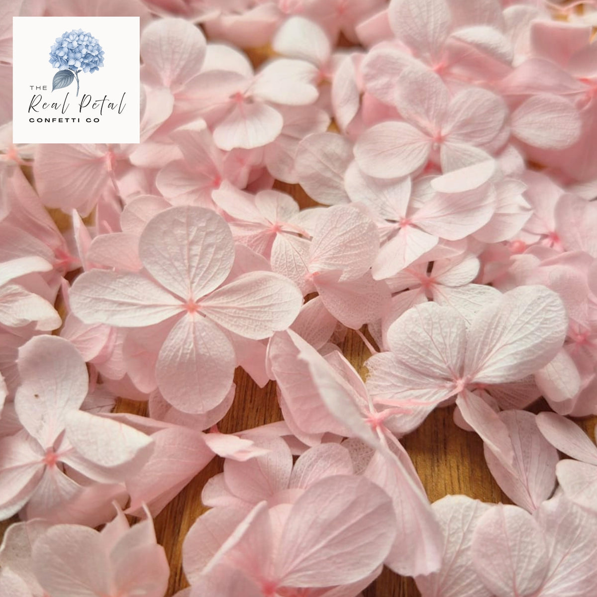 FlutterFly® Hydrangea Petals - Light Pink