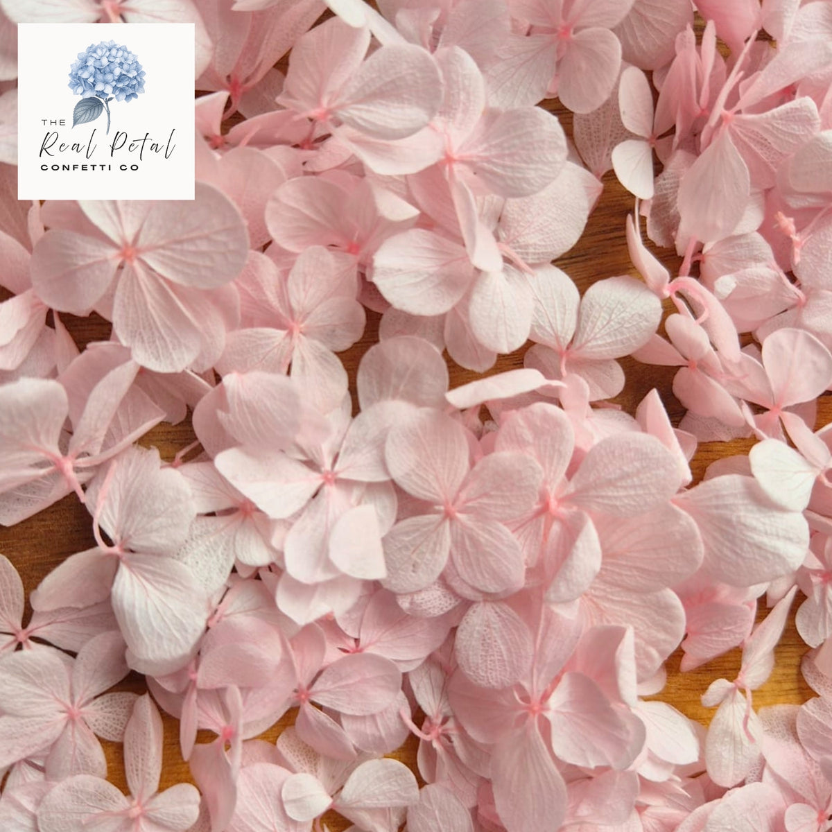 FlutterFly® Hydrangea Petals - Light Pink