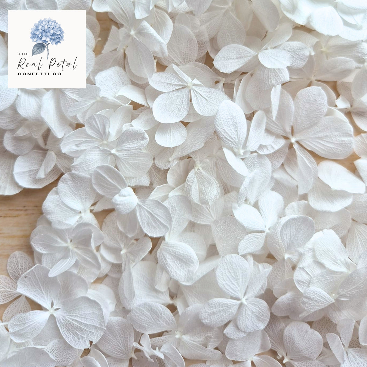 FlutterFly® Hydrangea Petals - Light Purple Gradient
