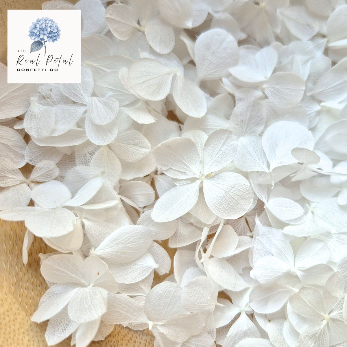 FlutterFly® Hydrangea Petals - Light Purple Gradient