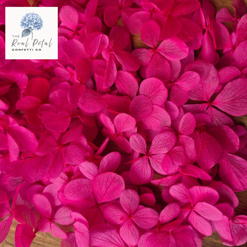 FlutterFly® Hydrangea Petals - Hot Fuschia Pink