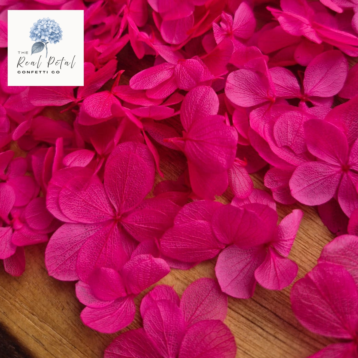 FlutterFly® Hydrangea Petals - Hot Fuschia Pink