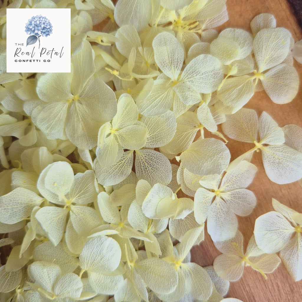 FlutterFly® Hydrangea Petals - Light Lemon