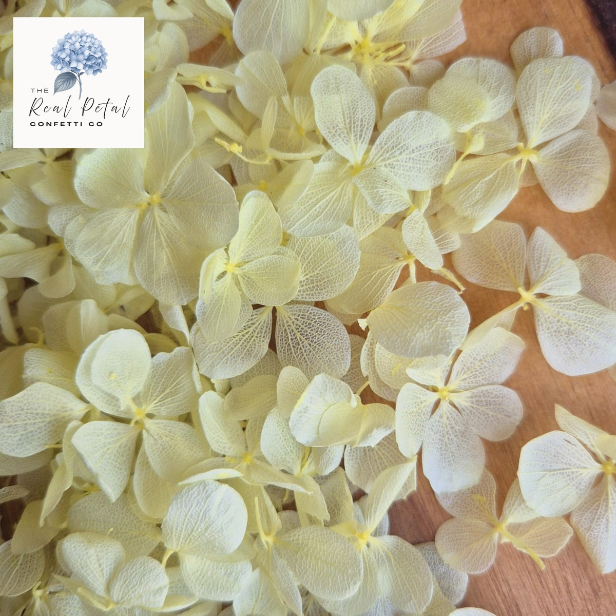 FlutterFly® Hydrangea Petals - Light Lemon