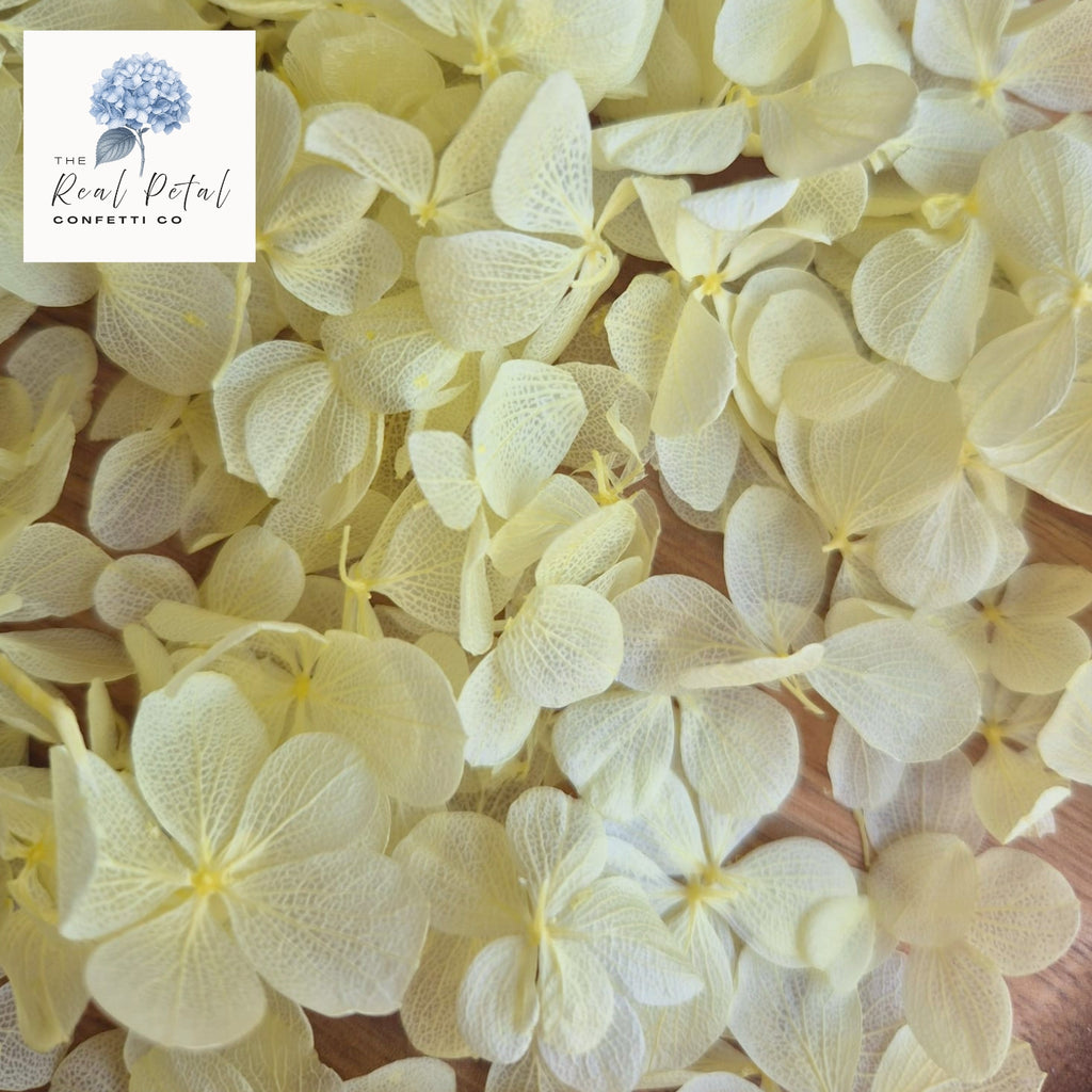 FlutterFly® Hydrangea Petals - Light Lemon