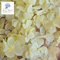 FlutterFly® Hydrangea Petals - Light Lemon