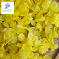 FlutterFly® Hydrangea Petals - Yellow