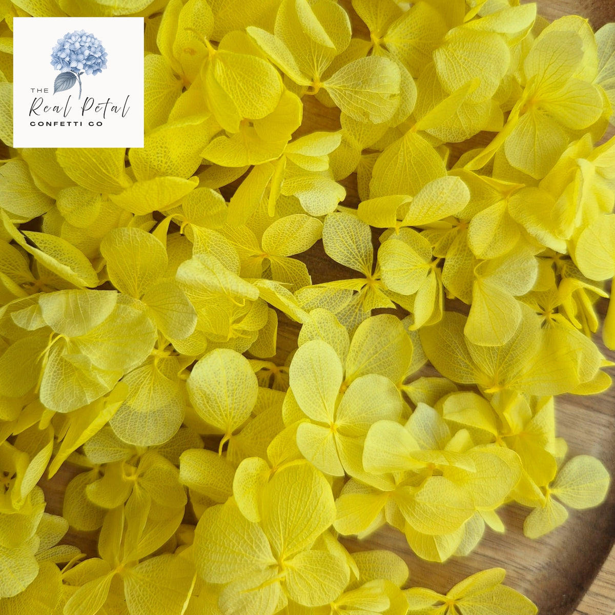 FlutterFly® Hydrangea Petals - Yellow