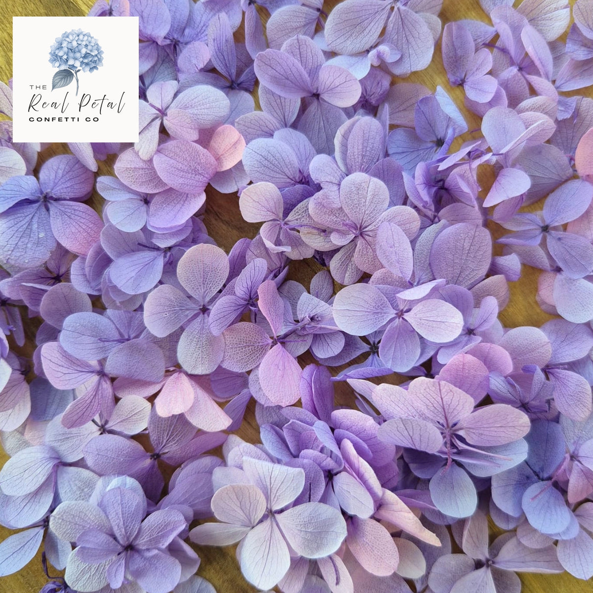 FlutterFly® Hydrangea Petals - Medium Purple Gradient